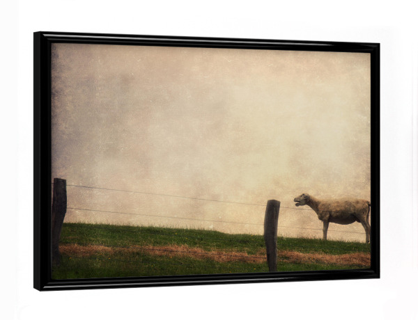 Poster mit schwarzem Rahmen "Schreihals" artboxONE - Tiere