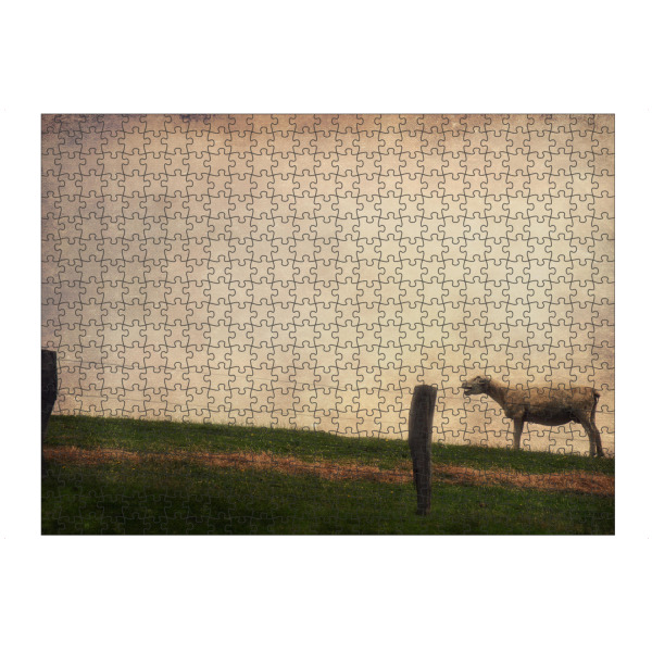 Puzzle Ravensburger "Schreihals" artboxONE - Tiere - Schaf,Wiese,Himmel,Frisisch herb,Friesland,Tierportrait,Fotokunst,Schleswig-holstein,Nutztiere