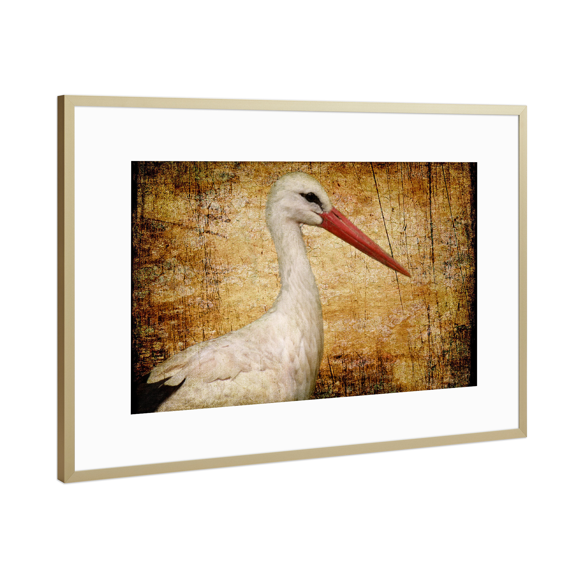 Poster mit Rahmen Gold "Klapperstorch" artboxONE - Tiere - Vogel,Storchenmama,Kinderzimmer,Vogelportrait,Tierportrait,Klapperstorch,Vintage,Fotokunst