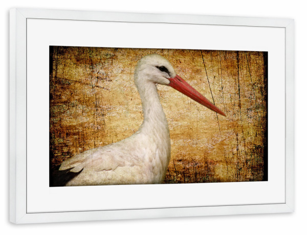 Poster mit Rahmen weiß "Klapperstorch" artboxONE - Tiere - Vogel,Storchenmama,Kinderzimmer,Vogelportrait,Tierportrait,Klapperstorch,Vintage,Fotokunst