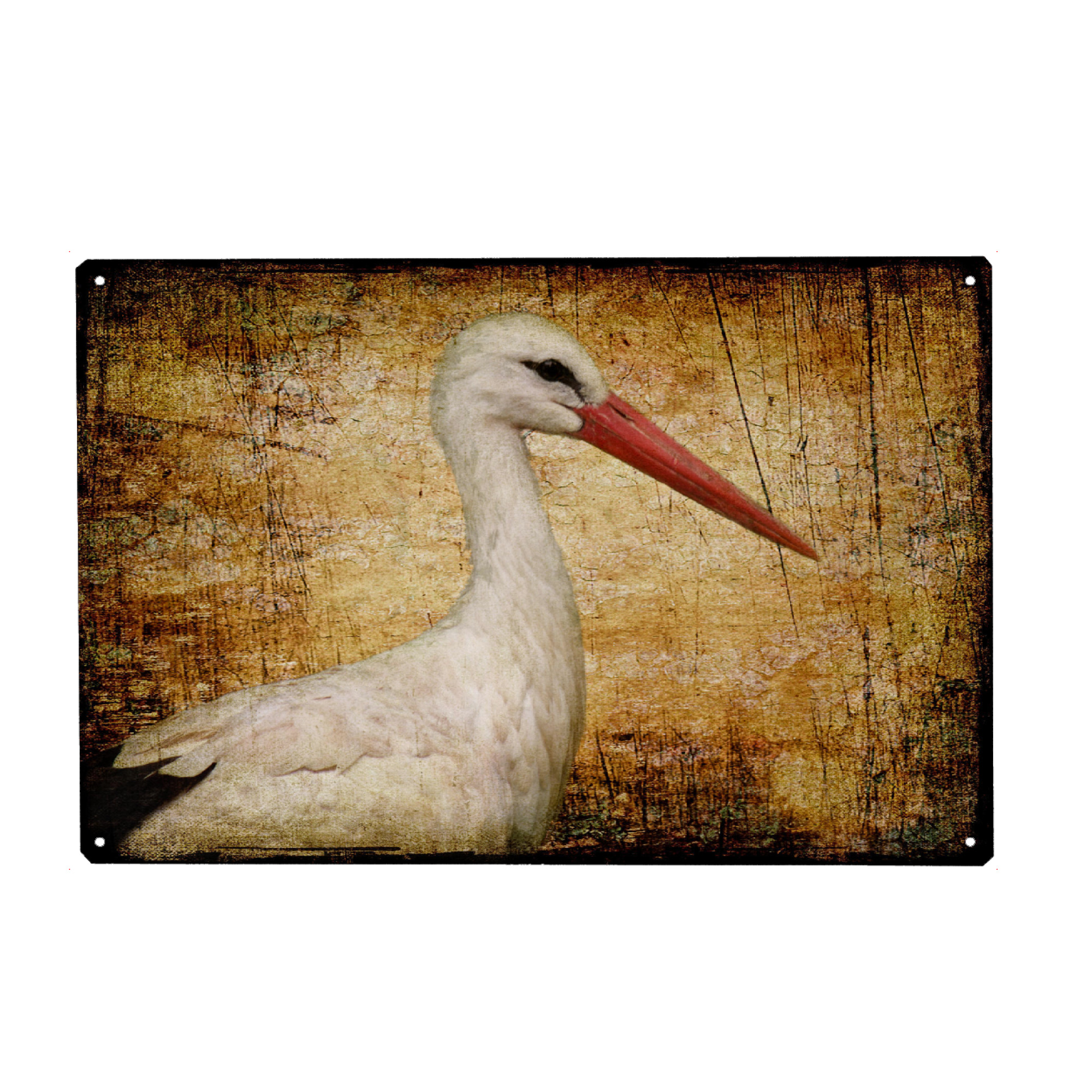 Metall Poster "Klapperstorch" artboxONE - Tiere - Vogel,Storchenmama,Kinderzimmer,Vogelportrait,Tierportrait,Klapperstorch,Vintage,Fotokunst
