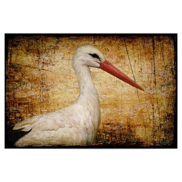 Poster "Klapperstorch" artboxONE - Tiere - Vogel,Storchenmama,Kinderzimmer,Vogelportrait,Tierportrait,Klapperstorch,Vintage,Fotokunst