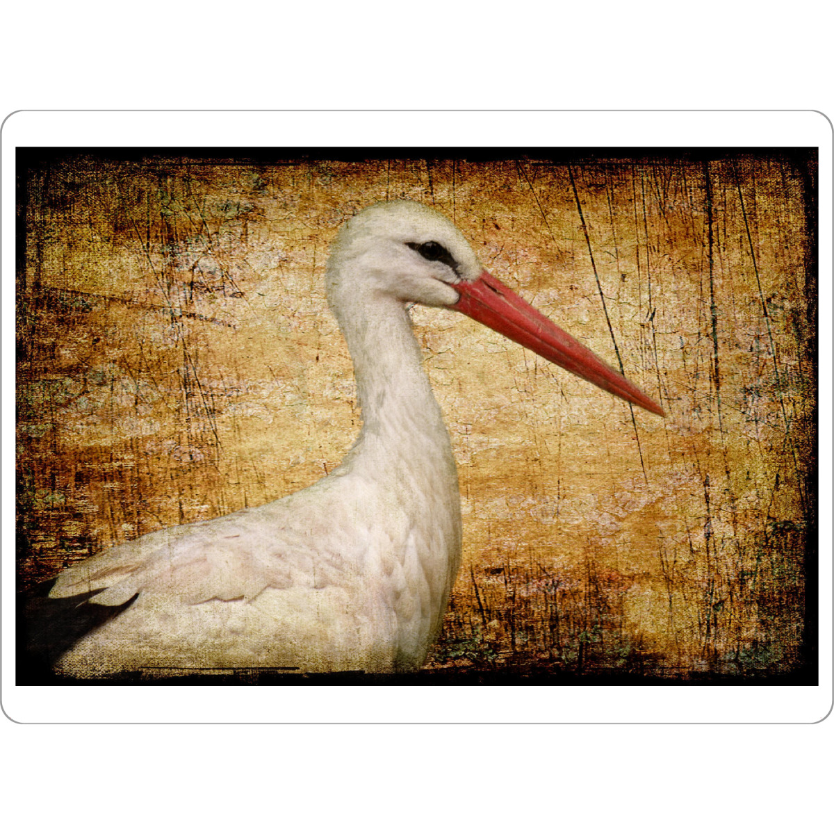 Tischset "Klapperstorch" artboxONE - Tiere - Vogel,Storchenmama,Kinderzimmer,Vogelportrait,Tierportrait,Klapperstorch,Vintage,Fotokunst - Bild vogel