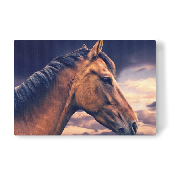 Leinwandbild "Steppenpferd" artboxONE - Natur,Tiere - Pferde,Tierportrait,Pferdeportrait,Composing,Meer,Wolken,Digitale malerei,Haustier