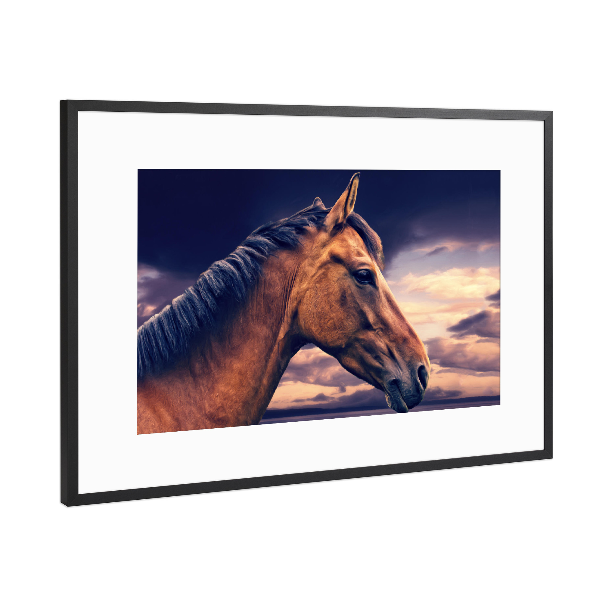 Poster mit Rahmen Schwarz (Metallic) "Steppenpferd" artboxONE - Natur,Tiere
