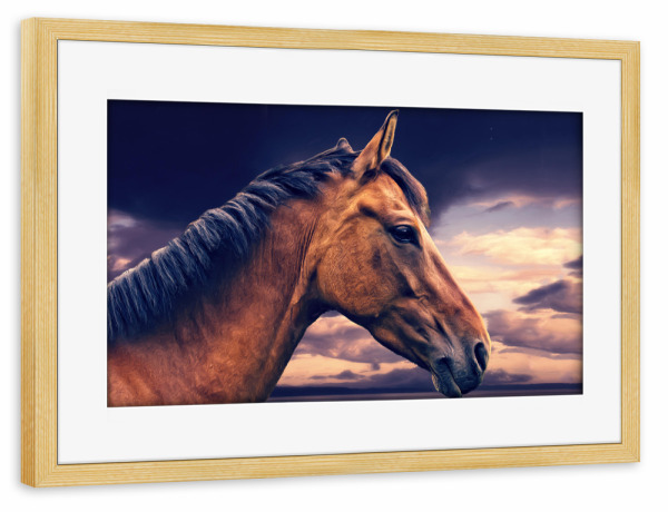 Poster mit Rahmen kiefer "Steppenpferd" artboxONE - Natur,Tiere - Pferde,Tierportrait,Pferdeportrait,Composing,Meer,Wolken,Digitale malerei,Haustier