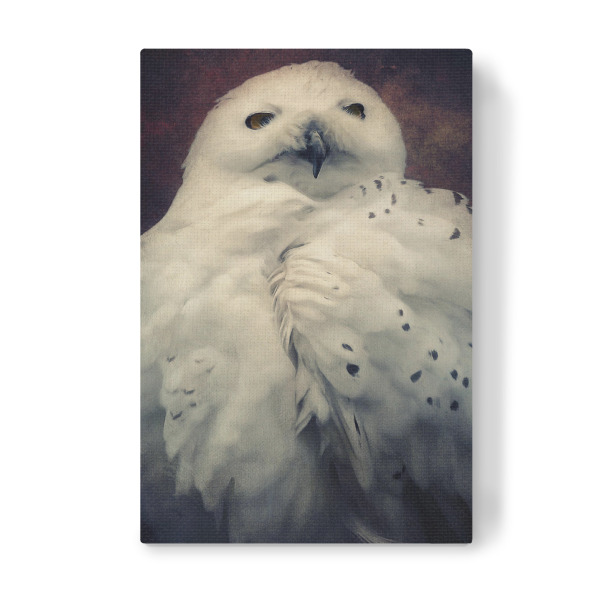 Leinwandbild "Hedwig" artboxONE - Natur,Tiere - Eule,Harry potter,Vogel,Nachtvogel,Schneeeule,Tierportrait,Vogelportrait,Digitale malerei