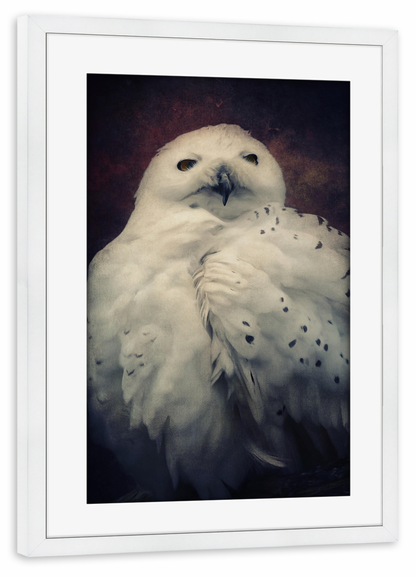 Poster mit Rahmen weiß "Hedwig" artboxONE - Natur,Tiere - Eule,Harry potter,Vogel,Nachtvogel,Schneeeule,Tierportrait,Vogelportrait,Digitale malerei