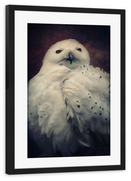 Poster mit Rahmen schwarz "Hedwig" artboxONE - Natur,Tiere - Eule,Harry potter,Vogel,Nachtvogel,Schneeeule,Tierportrait,Vogelportrait,Digitale malerei