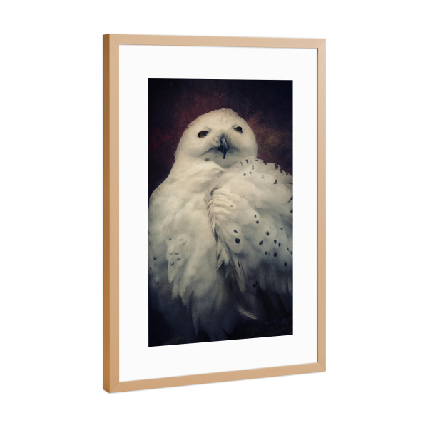Poster mit Rahmen Kupfer "Hedwig" artboxONE - Natur,Tiere - Eule,Harry potter,Vogel,Nachtvogel,Schneeeule,Tierportrait,Vogelportrait,Digitale malerei