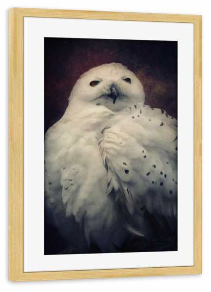 Poster mit Rahmen kiefer "Hedwig" artboxONE - Natur,Tiere - Eule,Harry potter,Vogel,Nachtvogel,Schneeeule,Tierportrait,Vogelportrait,Digitale malerei