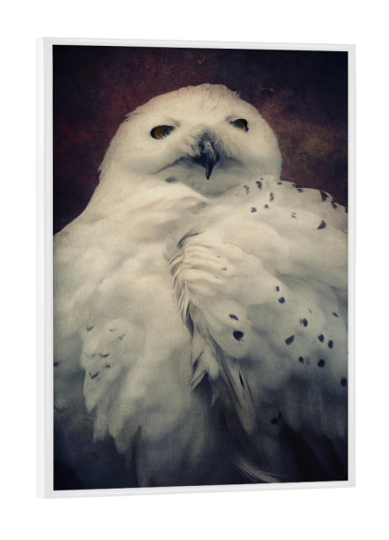 Poster mit weißem Rahmen "Hedwig" artboxONE - Natur,Tiere - Eule,Harry potter,Vogel,Nachtvogel,Schneeeule,Tierportrait,Vogelportrait,Digitale malerei