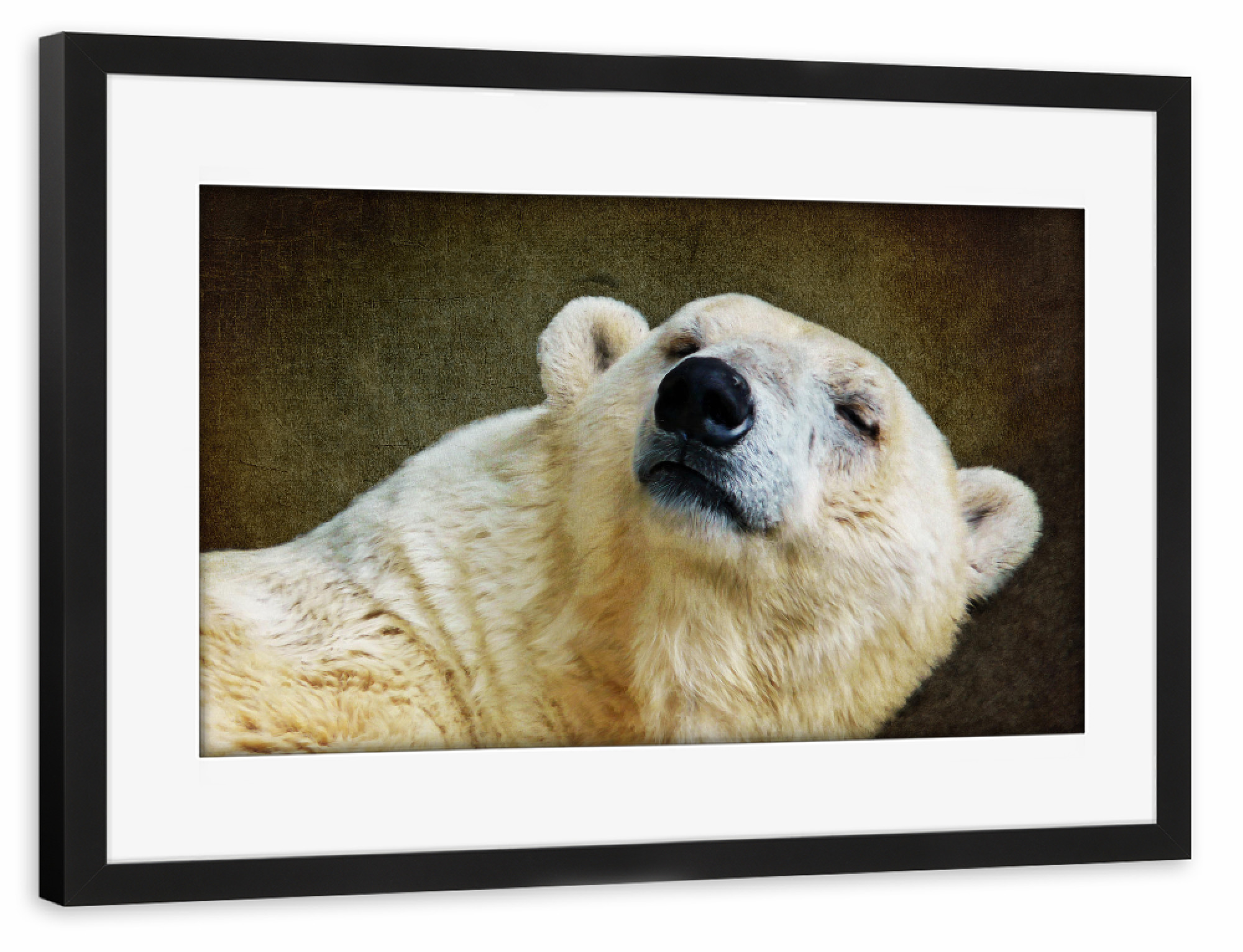 Poster mit Rahmen schwarz "Ice Ice Baby" artboxONE - Tiere