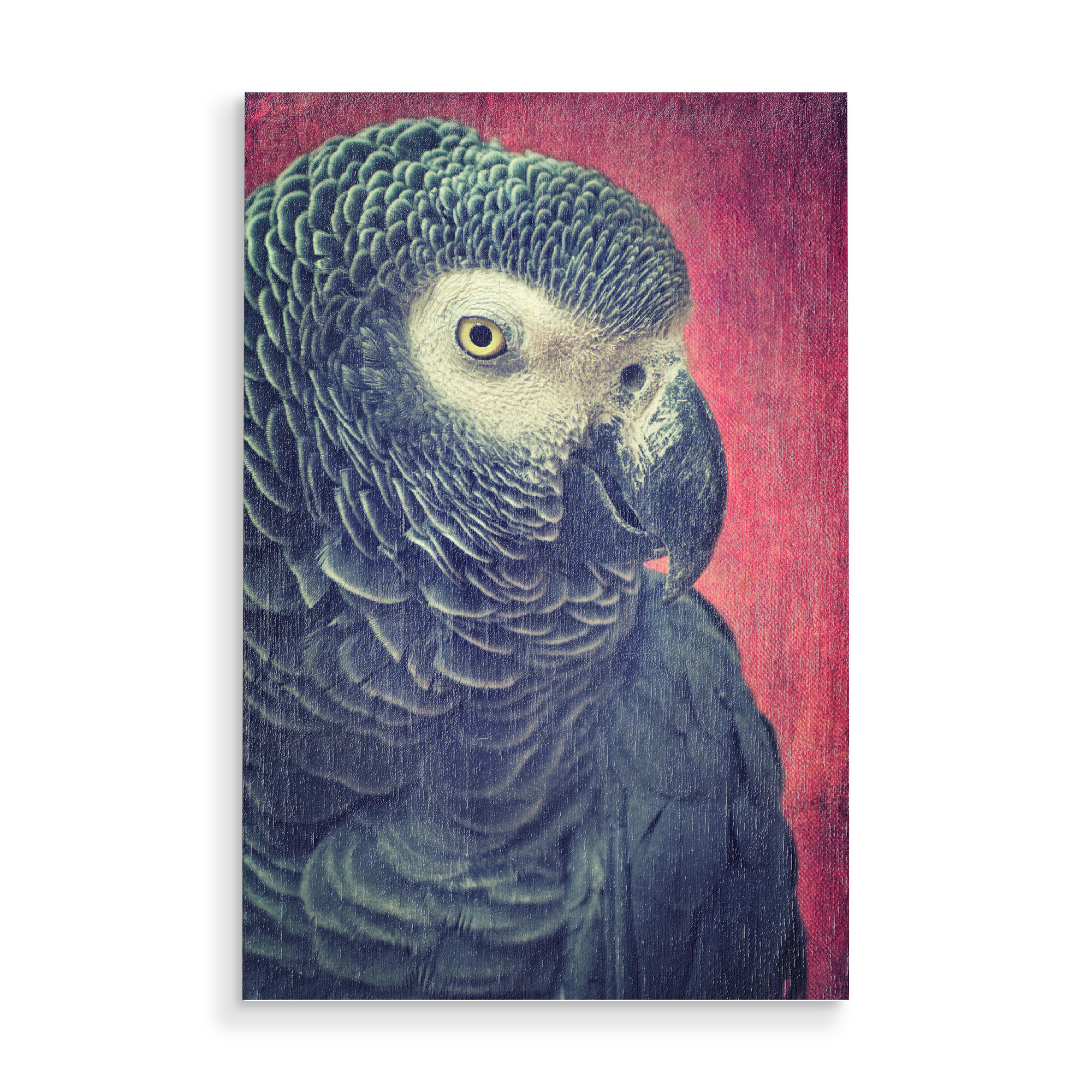Holzbild "Dora will Keks" artboxONE - Tiere - Papagei,Vogel,Vogelkopf,Graupapagei,Vogelportrait,Tierportrait