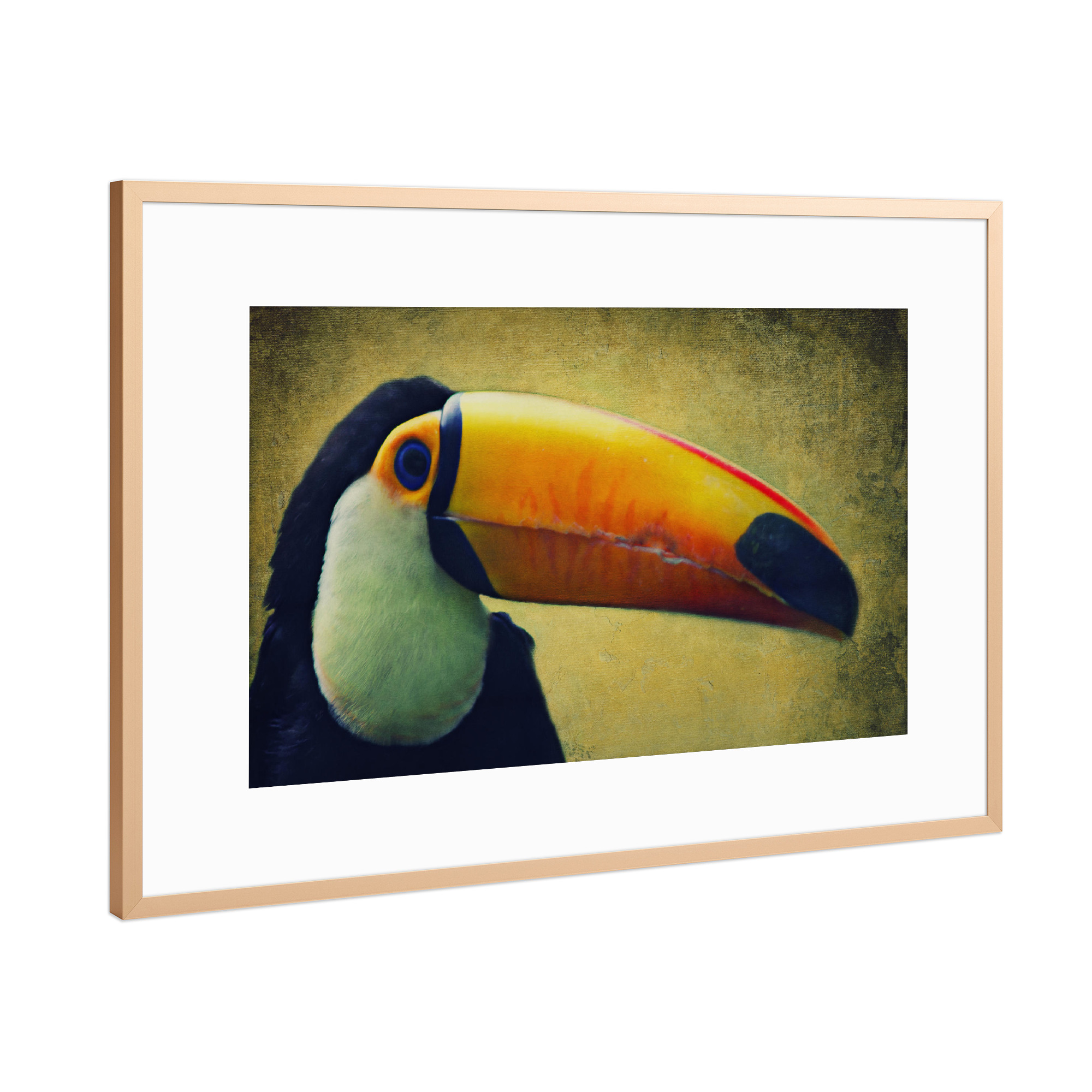 Poster mit Rahmen Kupfer "Tucan" artboxONE - Tiere - Tucan,Afrika,Dschungel,Vogel,Vogelportrait,Tierportrait,Vintage,Fotokunst,Großer vogel
