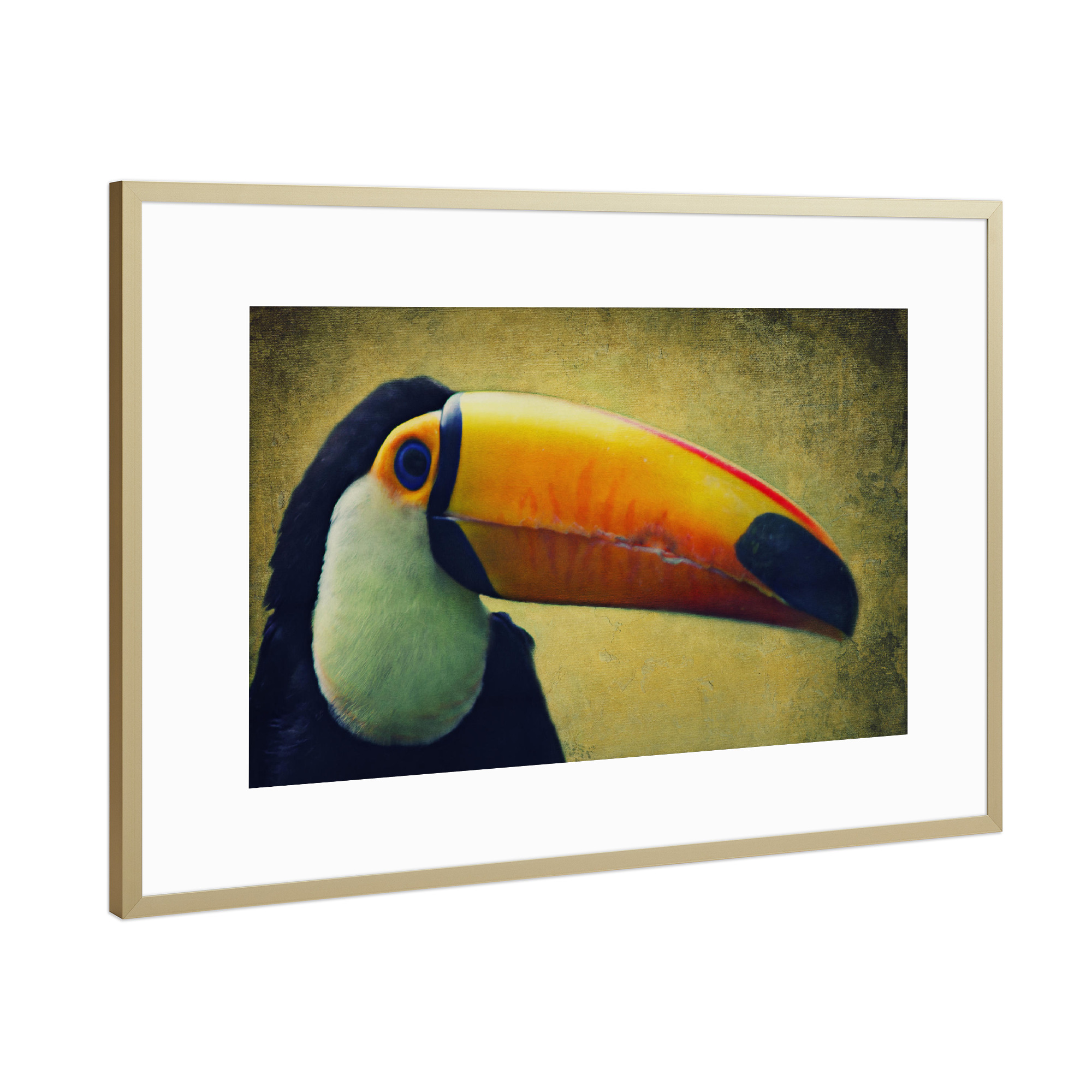 Poster mit Rahmen Gold "Tucan" artboxONE - Tiere - Tucan,Afrika,Dschungel,Vogel,Vogelportrait,Tierportrait,Vintage,Fotokunst,Großer vogel