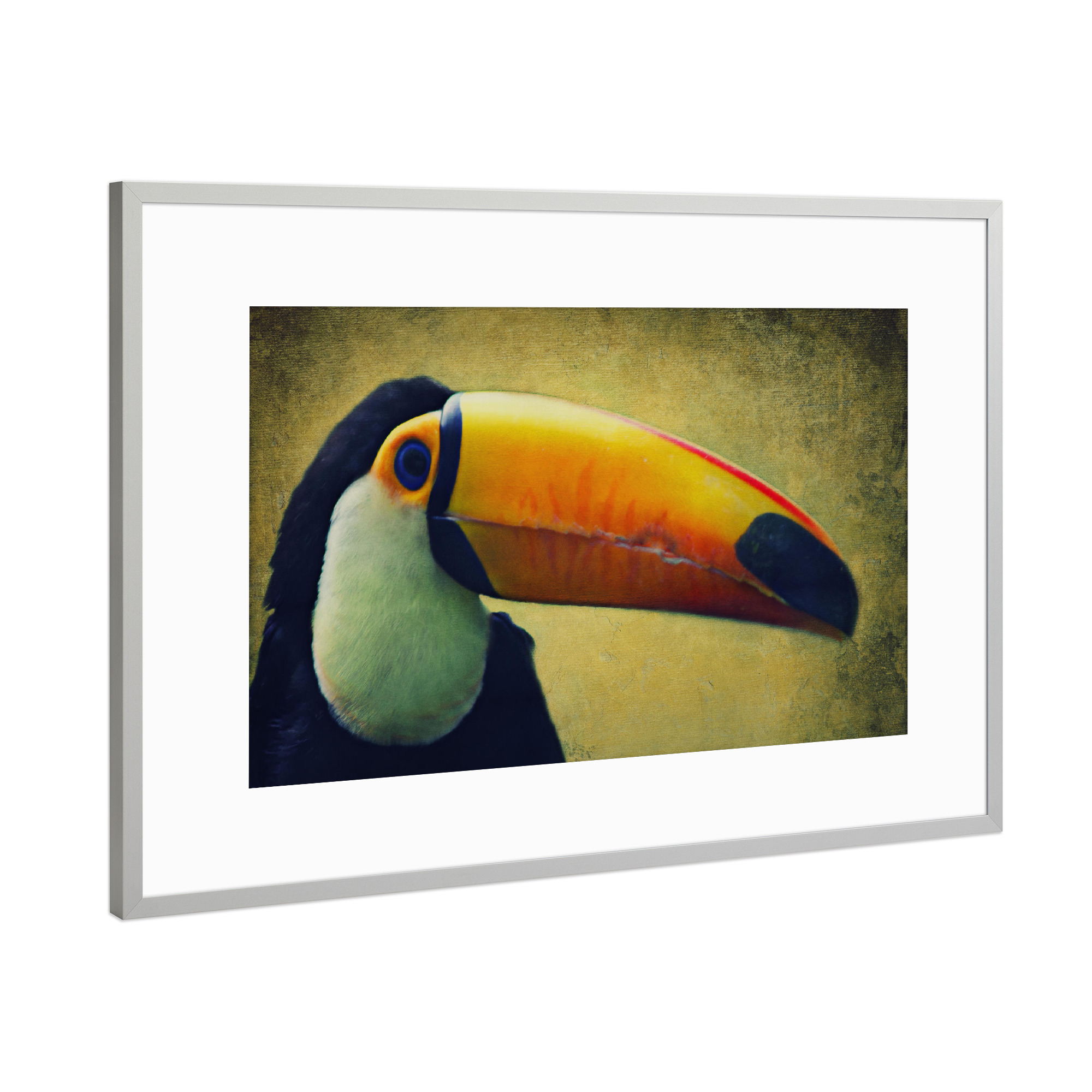 Poster mit Rahmen Silber "Tucan" artboxONE - Tiere - Tucan,Afrika,Dschungel,Vogel,Vogelportrait,Tierportrait,Vintage,Fotokunst,Großer vogel