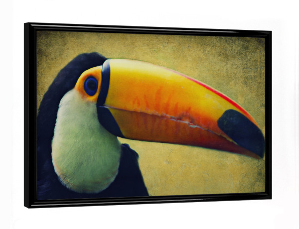 Poster mit schwarzem Rahmen "Tucan" artboxONE - Tiere - Tucan,Afrika,Dschungel,Vogel,Vogelportrait,Tierportrait,Vintage,Fotokunst,Großer vogel