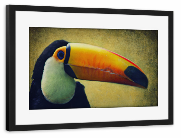 Poster mit Rahmen schwarz "Tucan" artboxONE - Tiere - Tucan,Afrika,Dschungel,Vogel,Vogelportrait,Tierportrait,Vintage,Fotokunst,Großer vogel
