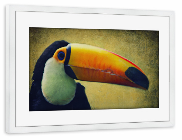 Poster mit Rahmen weiß "Tucan" artboxONE - Tiere - Tucan,Afrika,Dschungel,Vogel,Vogelportrait,Tierportrait,Vintage,Fotokunst,Großer vogel
