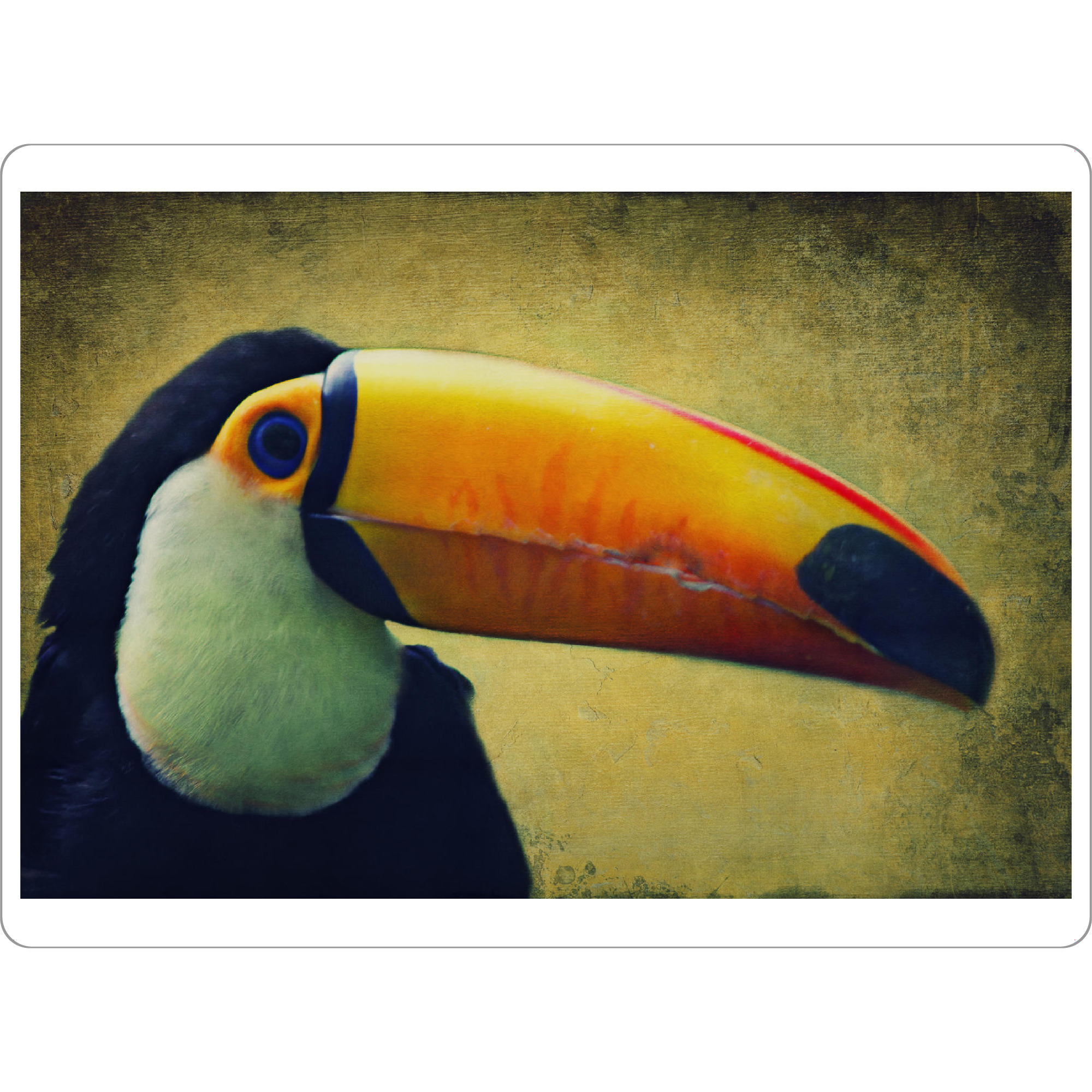 Tischset "Tucan" artboxONE - Tiere - Tucan,Afrika,Dschungel,Vogel,Vogelportrait,Tierportrait,Vintage,Fotokunst,Großer vogel - Bild tucan