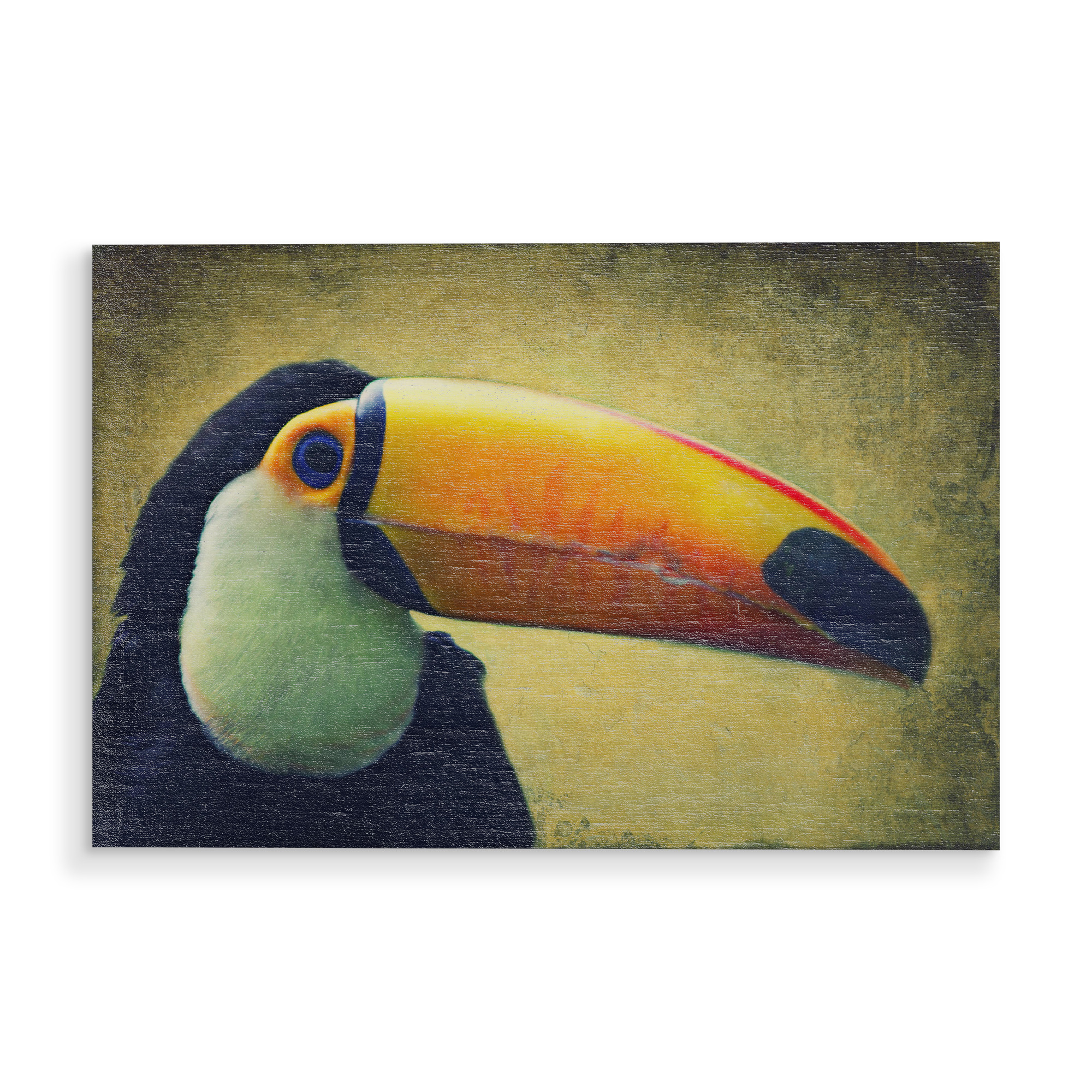 Holzbild "Tucan" artboxONE - Tiere - Tucan,Afrika,Dschungel,Vogel,Vogelportrait,Tierportrait,Vintage,Fotokunst,Großer vogel