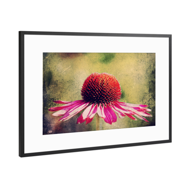 Poster mit Rahmen Schwarz (Metallic) "Magentilie" artboxONE - Natur,Floral,Für Mama