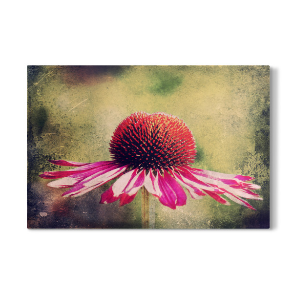 Galerie-Print "Magentilie" 30x20 cm artboxONE