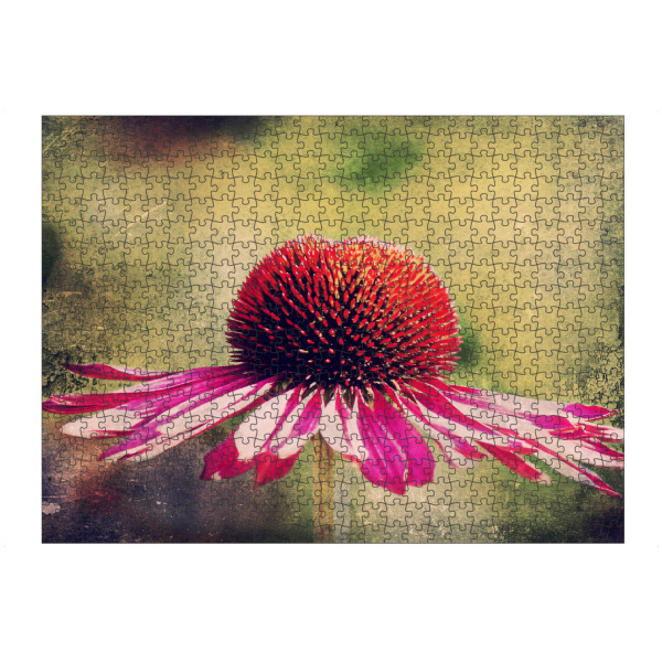 artboxONE Puzzle "Magentilie" artboxONE - Natur,Floral,Für Mama - Blume,Blüten,Purpur sonnenhut,Sonnenhut,Einzelne blume,Vintage,Natur,Pflanze