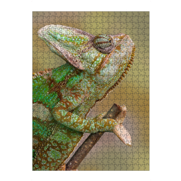 artboxONE Puzzle "Chamäleon" artboxONE - Tiere - Wandlungskünstler,Tierfotografie,Fotokunst - Bild wandlungskünstler