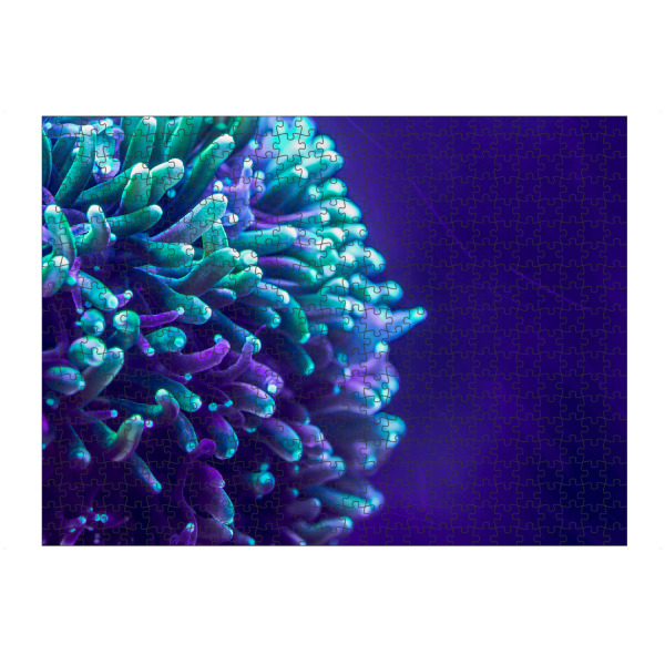 Puzzle Ravensburger "Anemone" artboxONE - Natur - Unterwaserfotografie,Korallen,Makrofotografie,Tentakeln,Leuchten,Neon - Bild Unterwaserfotografie