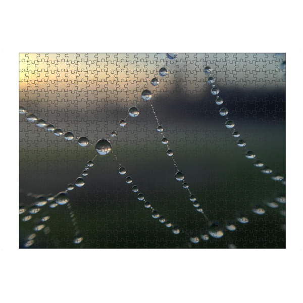 artboxONE Puzzle "Morgentau" artboxONE - Städte / London - Tau,Tropfen,Spinnennetz,Morgen,Sonnenaufgang - Bild Tau