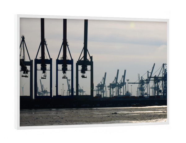 Poster mit weißem Rahmen "Kranlandschaft" artboxONE - Städte / Hamburg - Transport,Hafen,Verladen,Hamburg hafen,Container,Kran