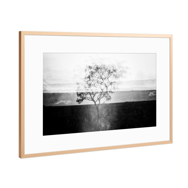 Poster mit Rahmen Kupfer "Fata Morgana" artboxONE - Tiere,Schwarzweiß,Reise / Afrika