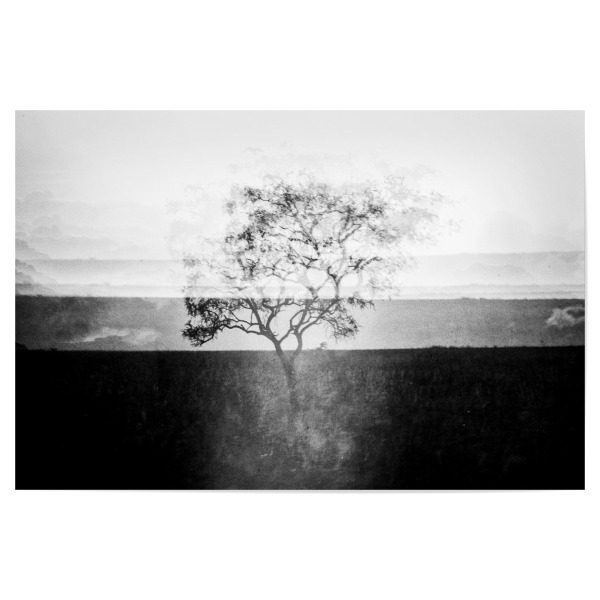 Poster 30x20 cm "Fata Morgana" artboxONE - Tiere,Schwarzweiß,Reise / Afrika