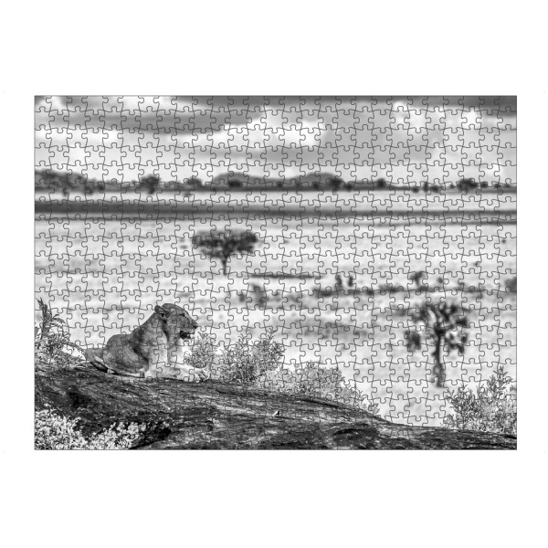 Puzzle Ravensburger "Siesta in der Savanne" artboxONE - Tiere,Schwarzweiß,Reise / Afrika