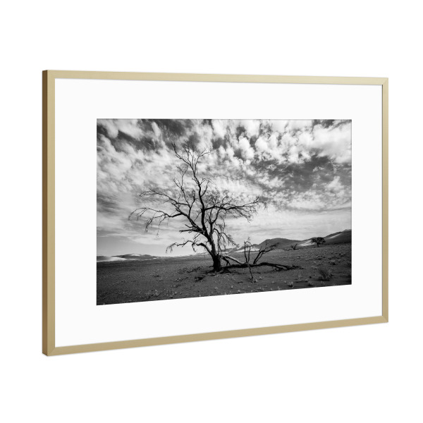 Poster mit Rahmen Gold "Trockenzeit" artboxONE - Tiere,Schwarzweiß,Reise / Afrika