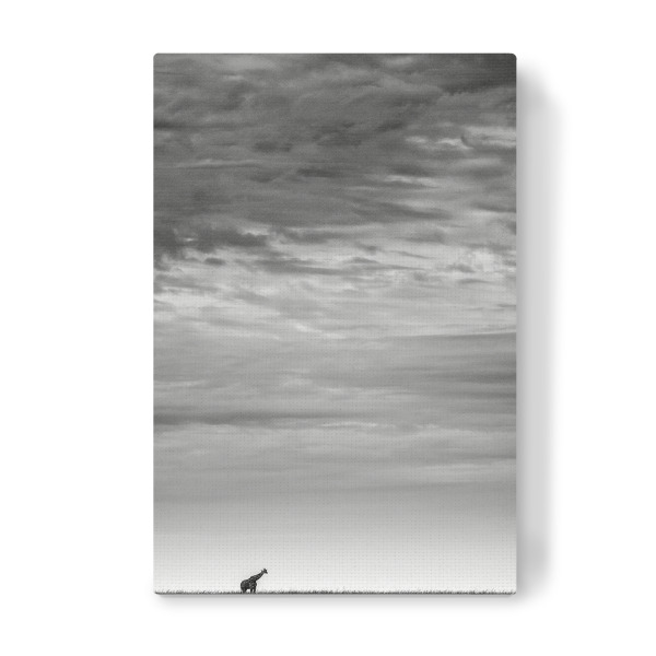 Leinwandbild "Weites Feld" artboxONE - Tiere,Schwarzweiß,Reise / Afrika - Clouds,Horizont,Wolken,Sky,Himmel,Giraffe,Silhouette,Steppe,Horizon