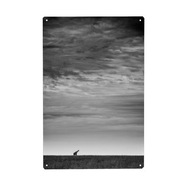 Holzbild "Weites Feld" artboxONE - Tiere,Schwarzweiß,Reise / Afrika - Clouds,Horizont,Wolken,Sky,Himmel,Giraffe,Silhouette,Steppe,Horizon