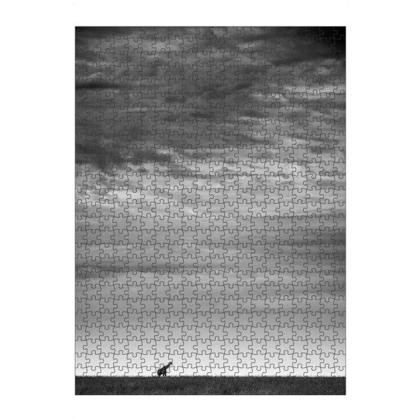 Puzzle Ravensburger "Weites Feld" artboxONE - Tiere,Schwarzweiß,Reise / Afrika - Clouds,Horizont,Wolken,Sky,Himmel,Giraffe,Silhouette,Steppe,Horizon