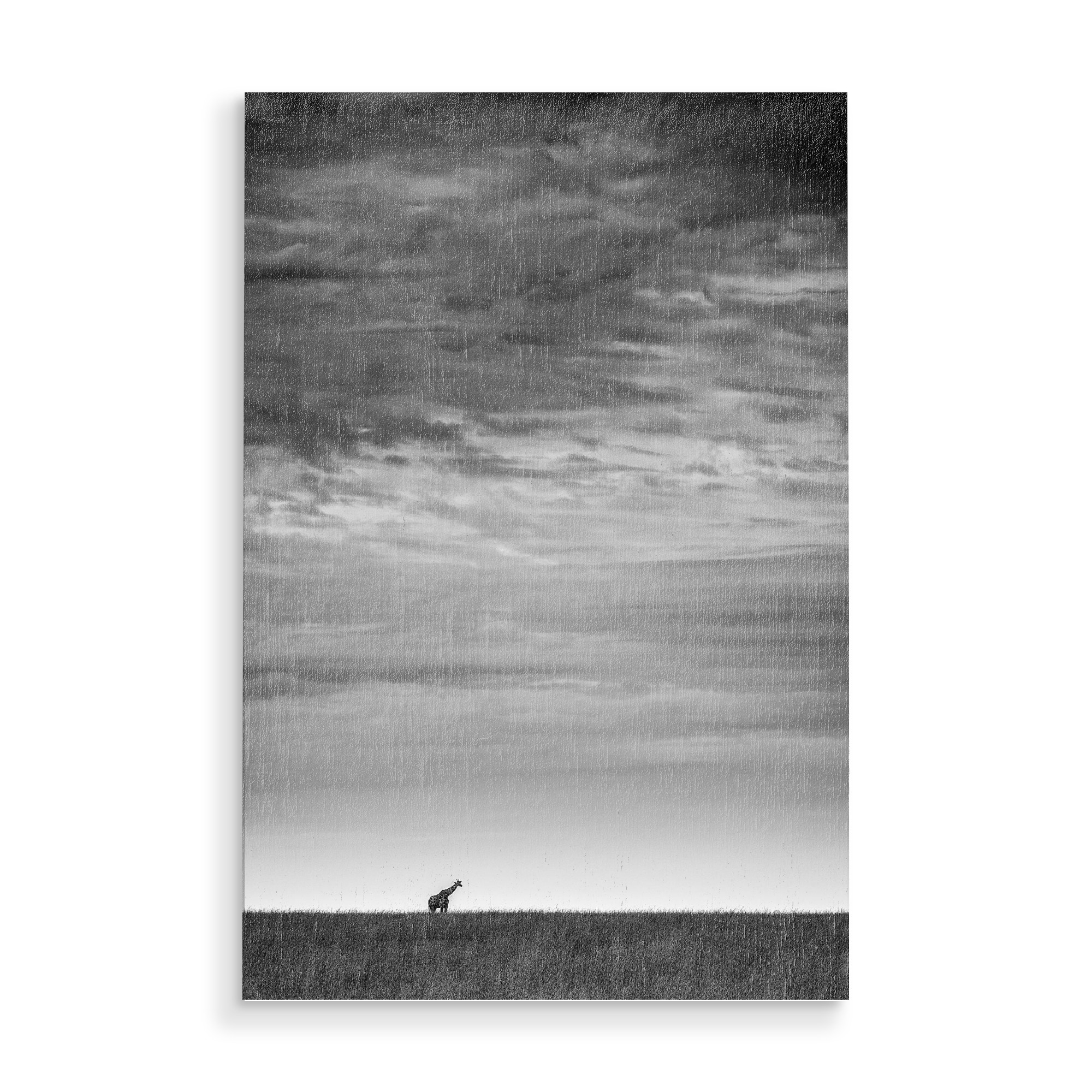 Holzbild "Weites Feld" artboxONE - Tiere,Schwarzweiß,Reise / Afrika - Clouds,Horizont,Wolken,Sky,Himmel,Giraffe,Silhouette,Steppe,Horizon