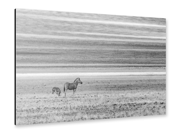 Alu-Dibond "Wo lang jetzt" 30x20 cm artboxONE