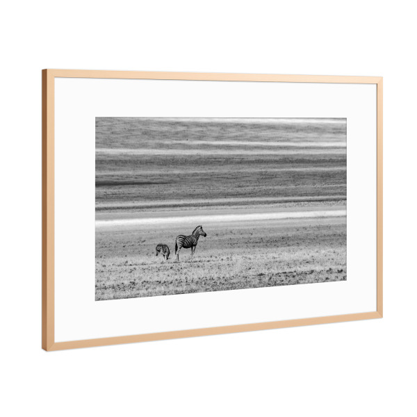 Poster mit Rahmen Kupfer "Wo lang jetzt" artboxONE - Tiere,Schwarzweiß,Reise / Afrika - Afrika,Zebras,Steppe,Animals,Tiere