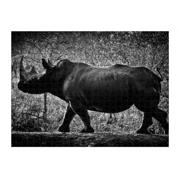 Puzzle Ravensburger "Stolzer Dickhäuter" artboxONE - Tiere,Schwarzweiß,Reise / Afrika