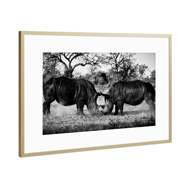 Poster mit Rahmen Gold "Dinnieren" artboxONE - Tiere,Schwarzweiß,Reise / Afrika - Afrika,Rhinos,Steppe,Eating,Essen,Wüste,Büsche,Animals,Tiere