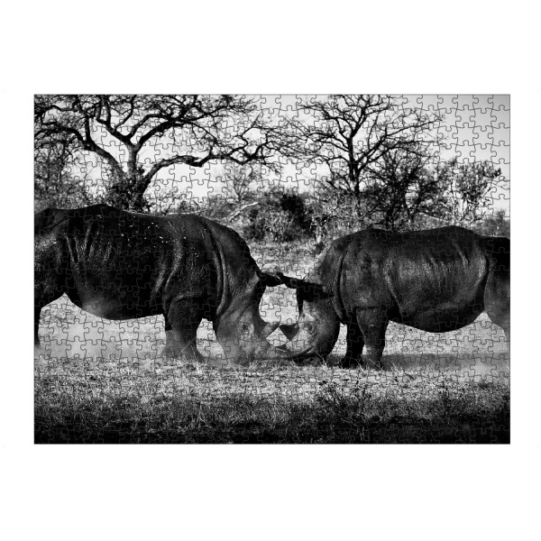 Puzzle Ravensburger "Dinnieren" artboxONE - Tiere,Schwarzweiß,Reise / Afrika - Afrika,Rhinos,Steppe,Eating,Essen,Wüste,Büsche,Animals,Tiere