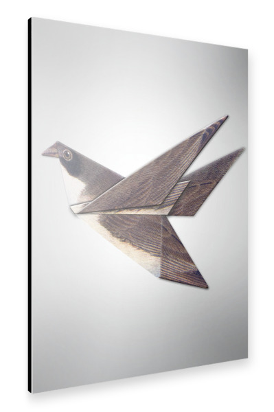 Alu-Dibond "Tauben Origami" 30x20 cm artboxONE