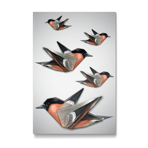 Galerie-Print "Origami Blutfink Schwarm" 30x20 cm artboxONE