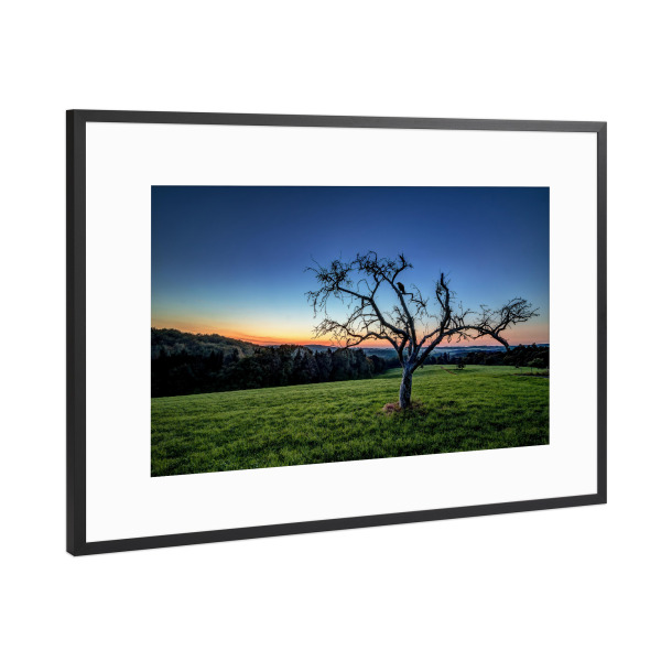 Poster mit Rahmen Schwarz (Metallic) "Der Rabe und der Baum" artboxONE - Tiere