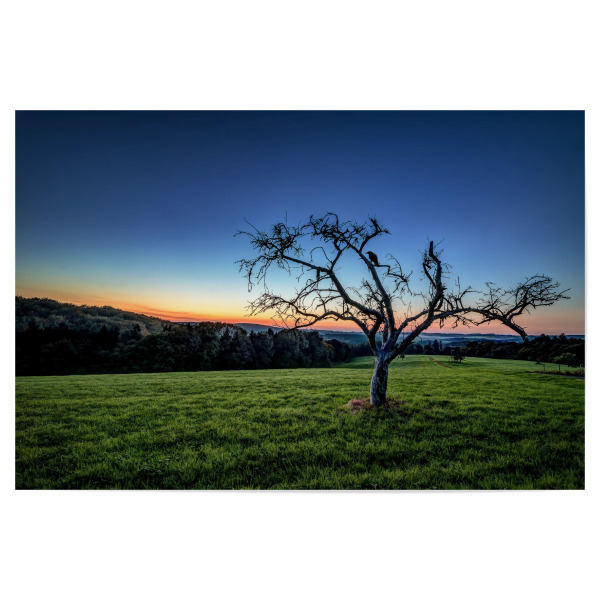 Poster 30x20 cm "Der Rabe und der Baum" artboxONE - Tiere